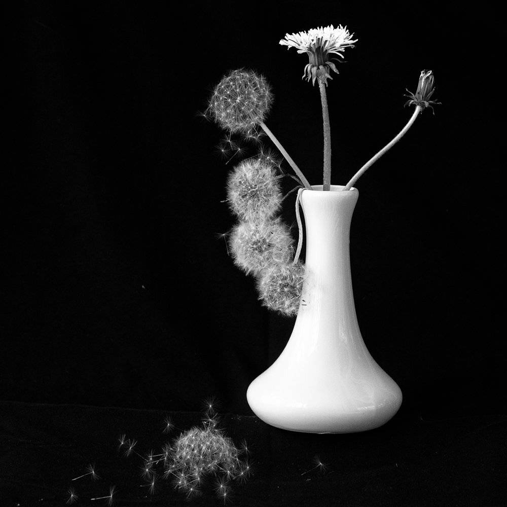 , Татьяна Аверина