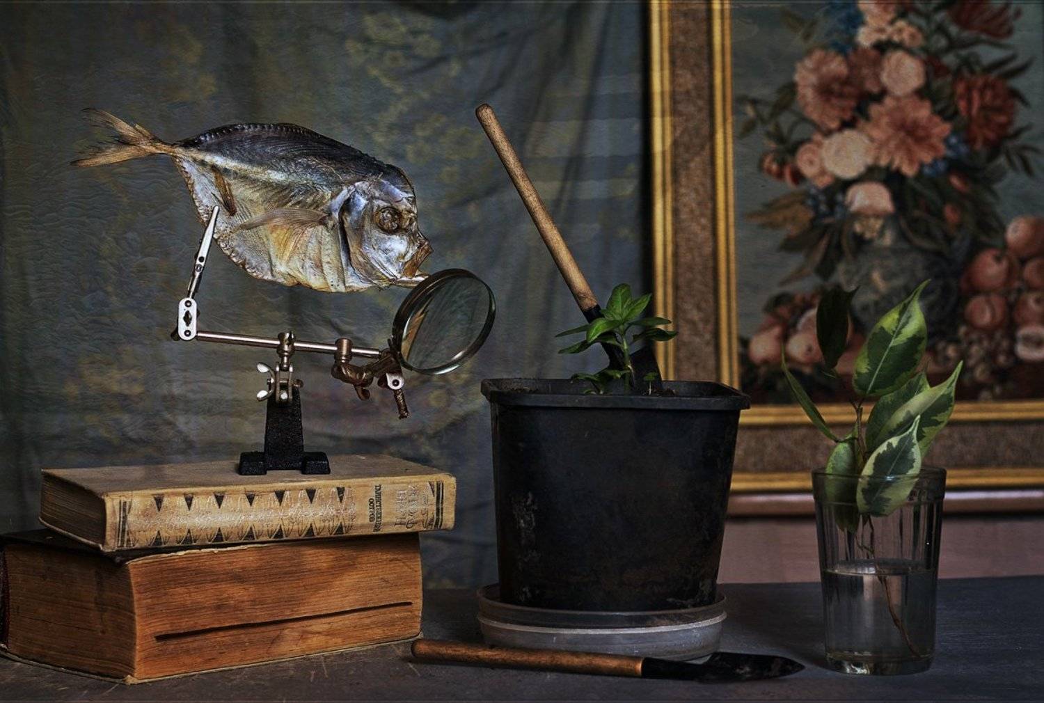 , Михаил Анисимов