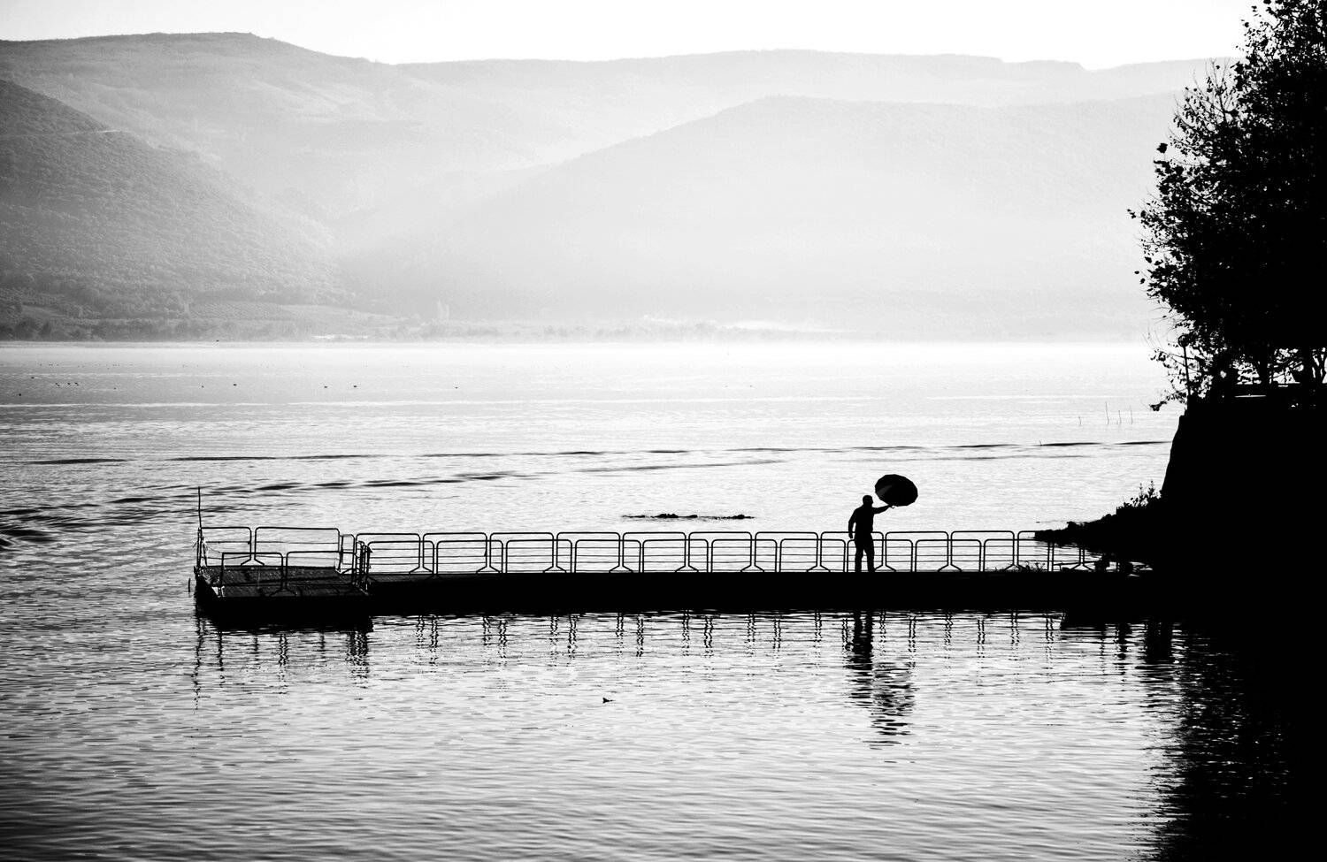 , Emir Bozkurt