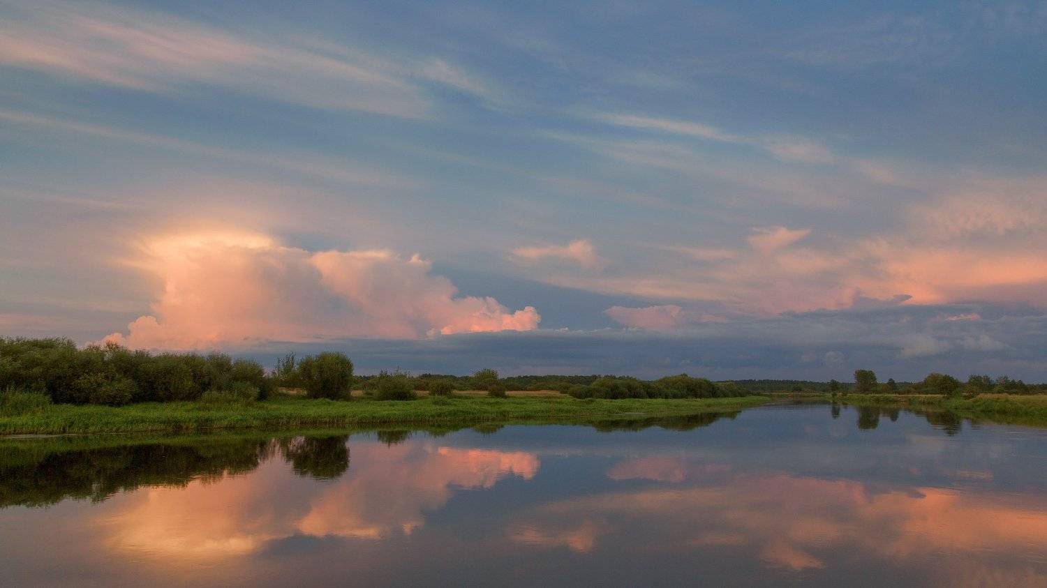 , Михаил Кушнер