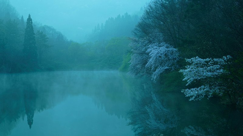 south korea, jeollabukdo, spring, flower, cherry blossom, landscape, beautiful, dawn, fog, atmosphere, fantastic, lake Lake at dawn фото превью