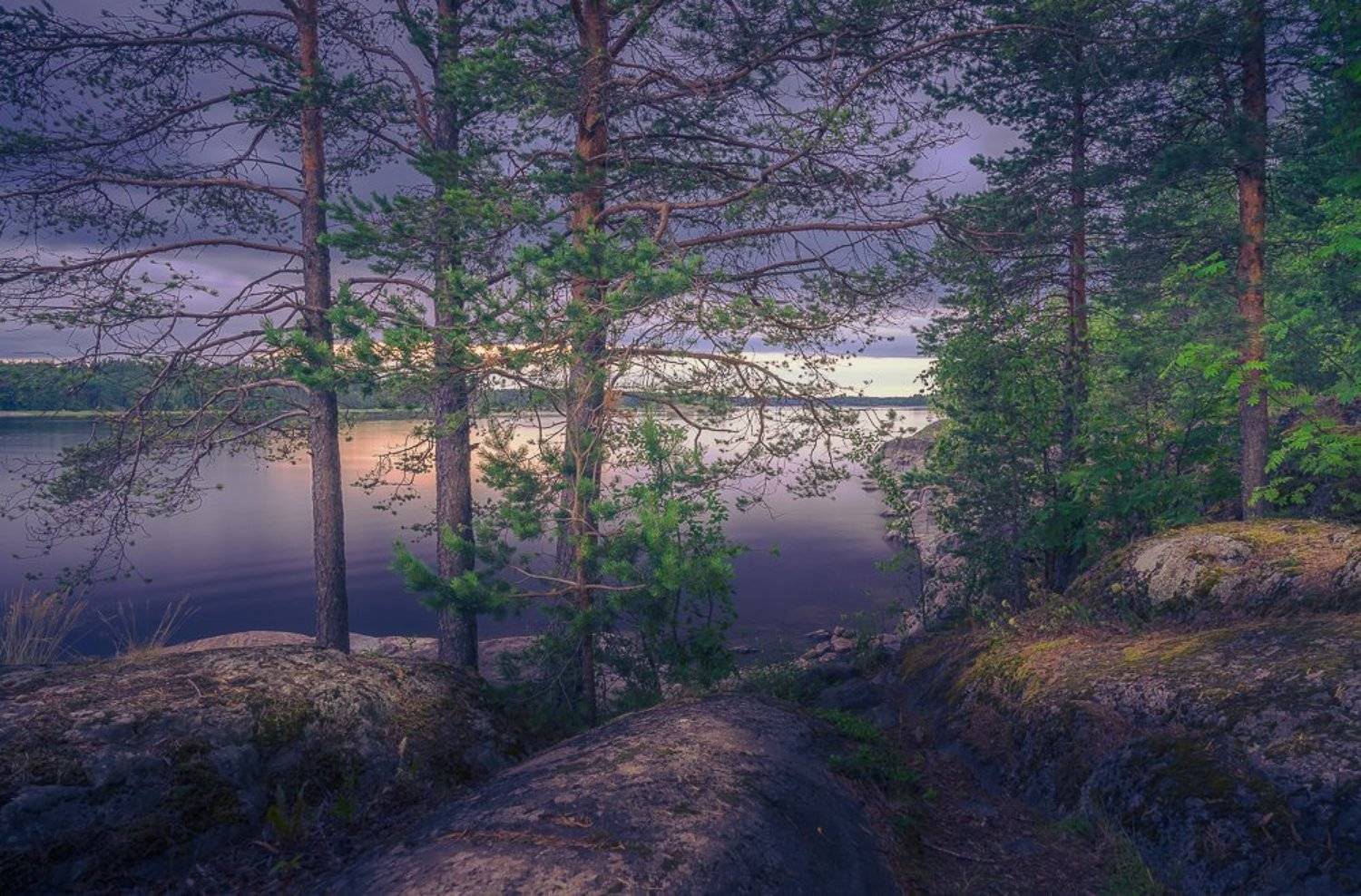 , Светлана Морозова