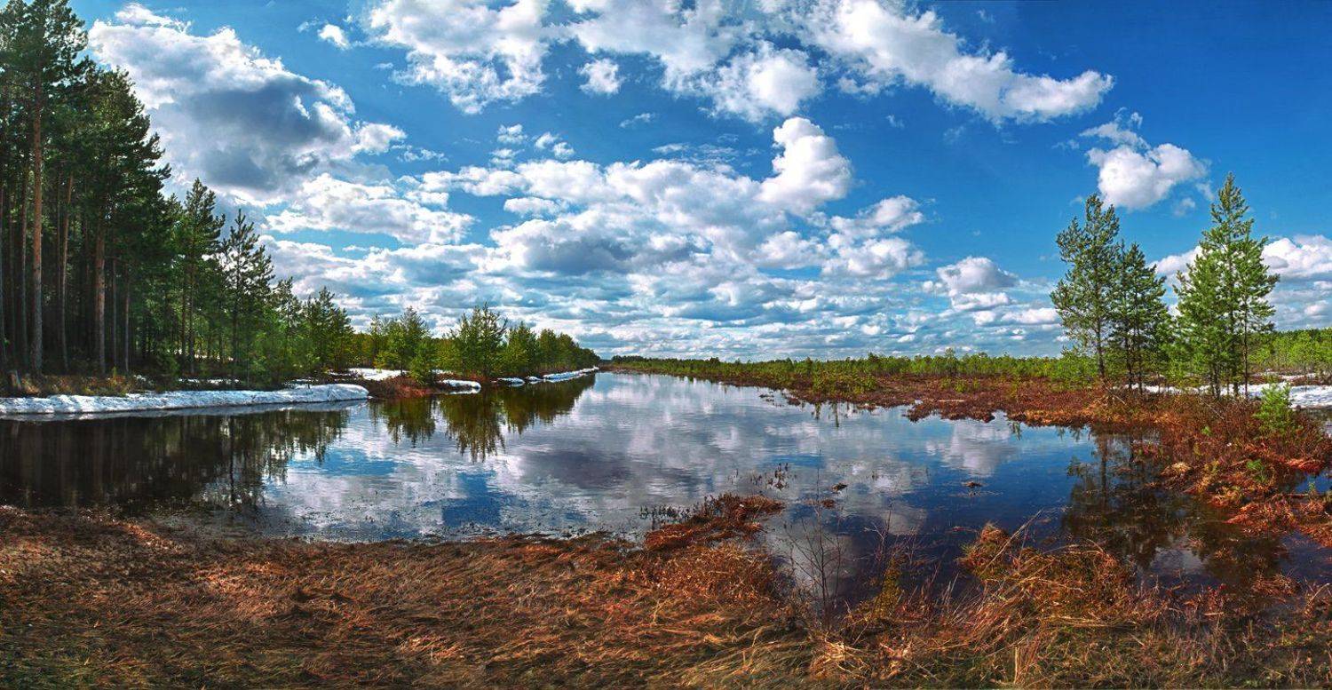 природа, весна, панорама, Алёна Сурнина