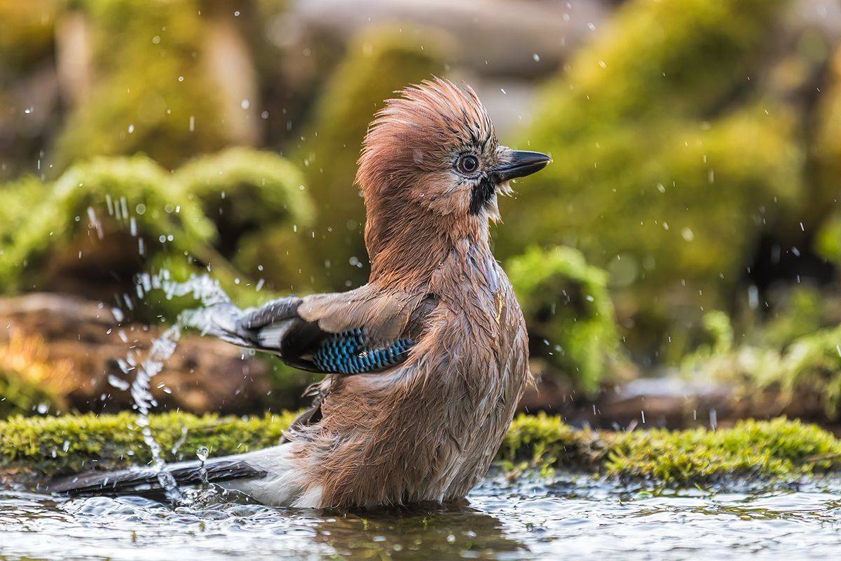 , Sławek Przybylski