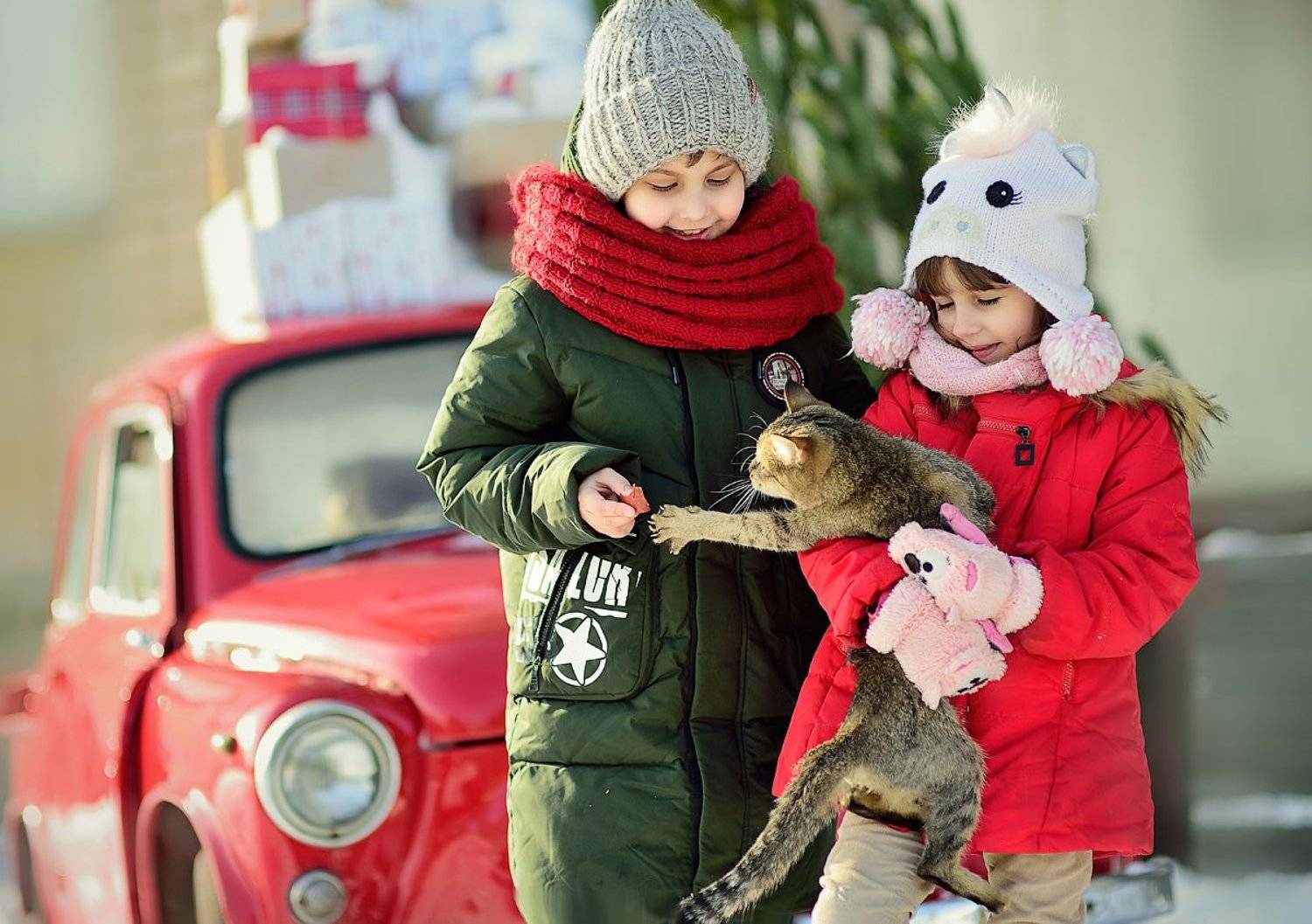 кот 14 февраля, Раевская Елена