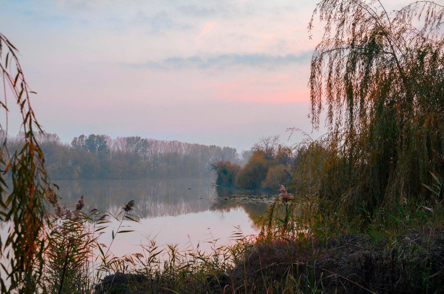 , Алексей Рыльский