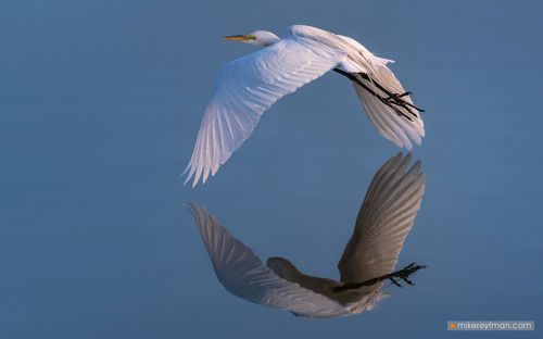 Photos from backyard