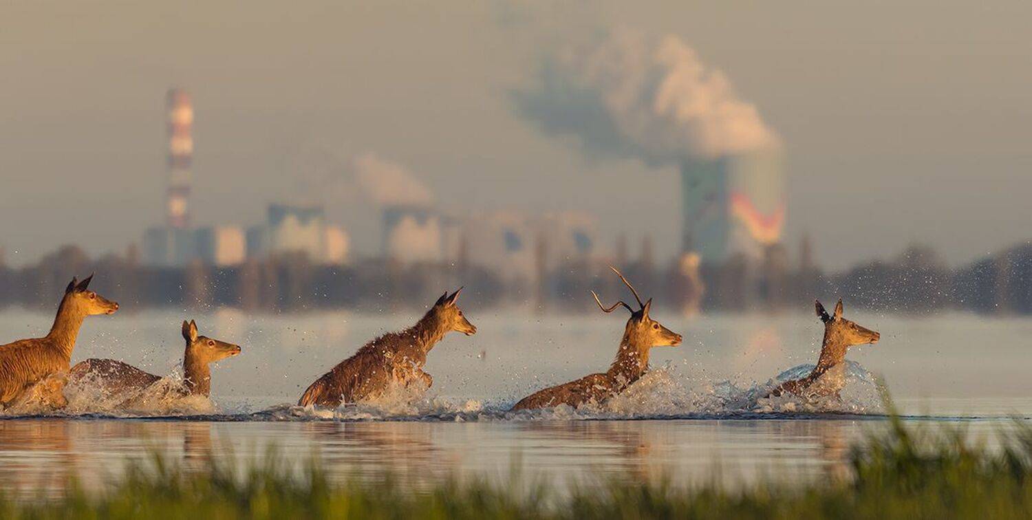 , Sławek Przybylski