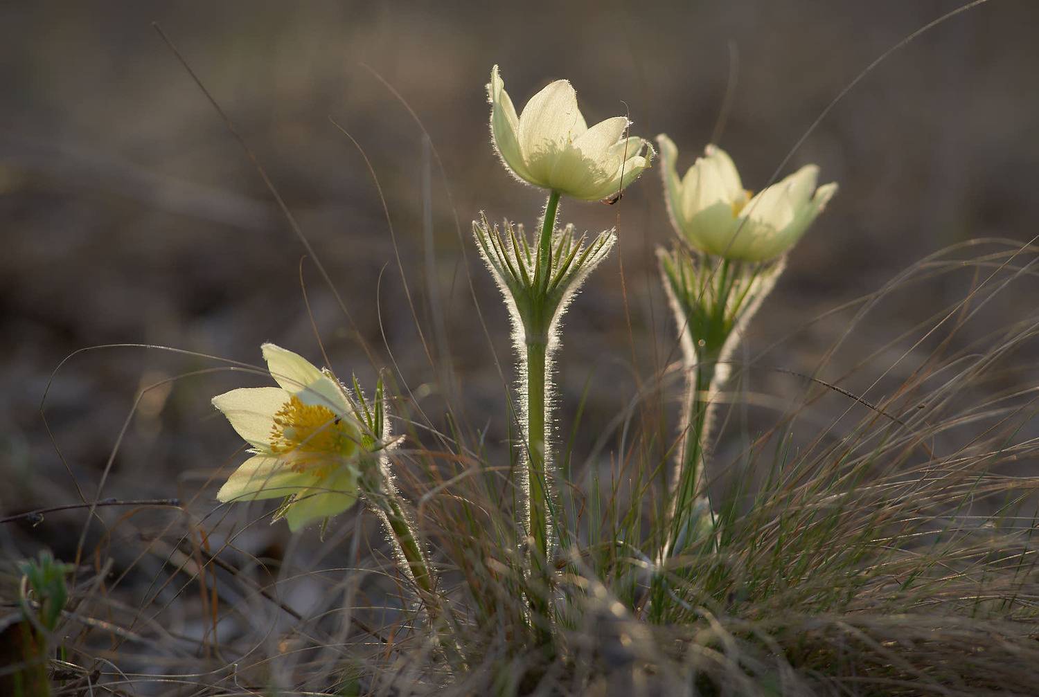 , Вячеслав Владимирович