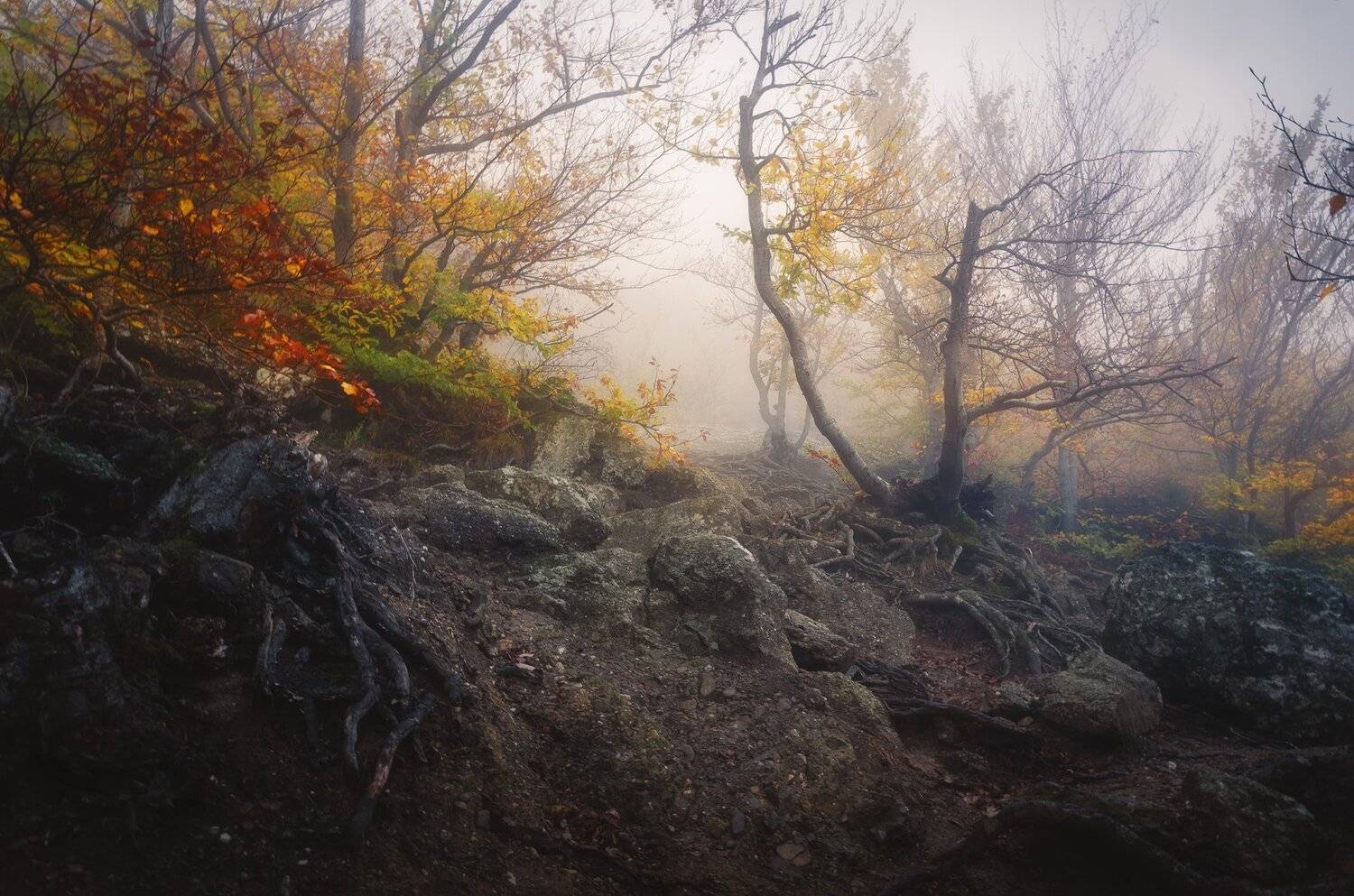 , Oleg Feofanov