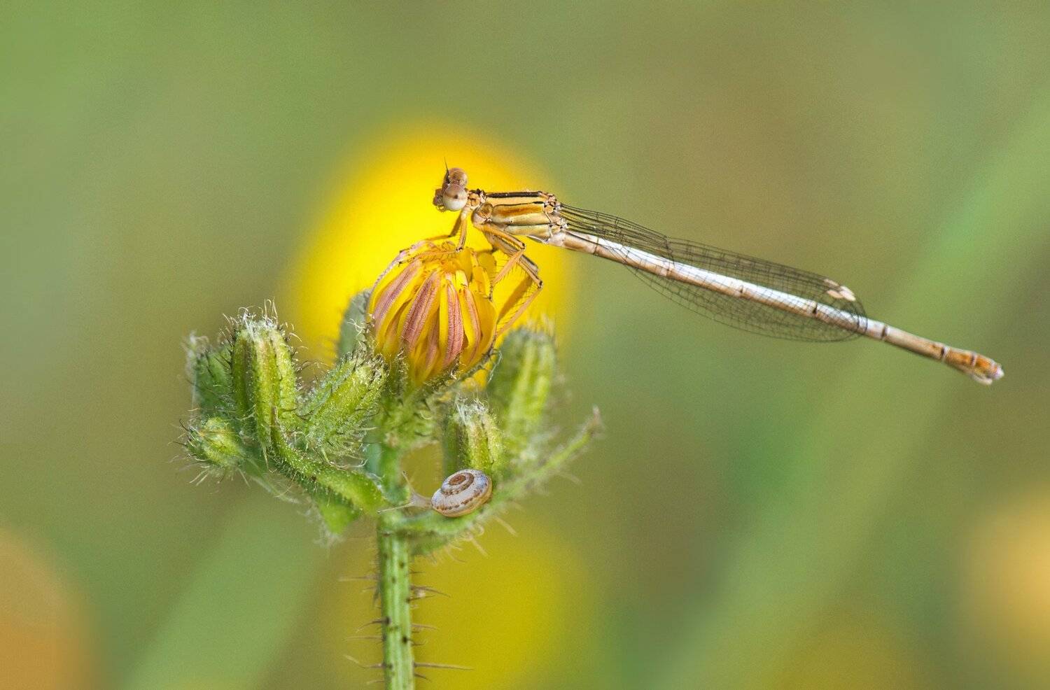 , Людмила Бекман