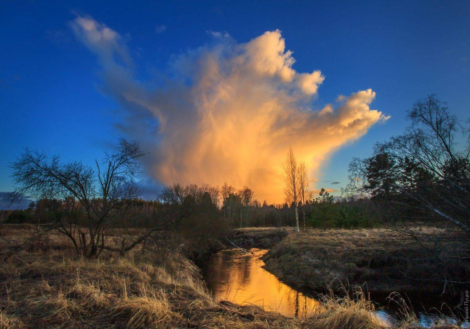 , Евгений Луцко