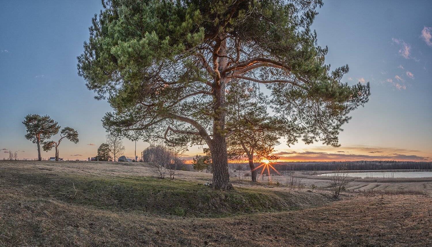 , Николай Андреев