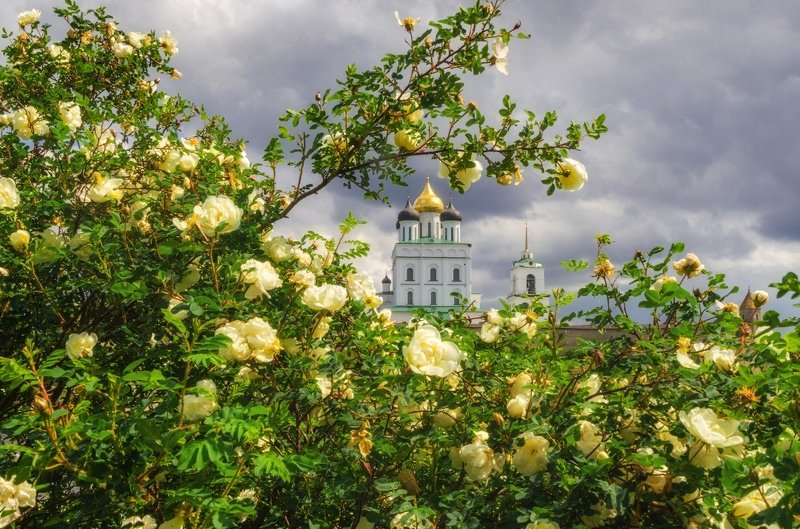 псков, весна  фото превью