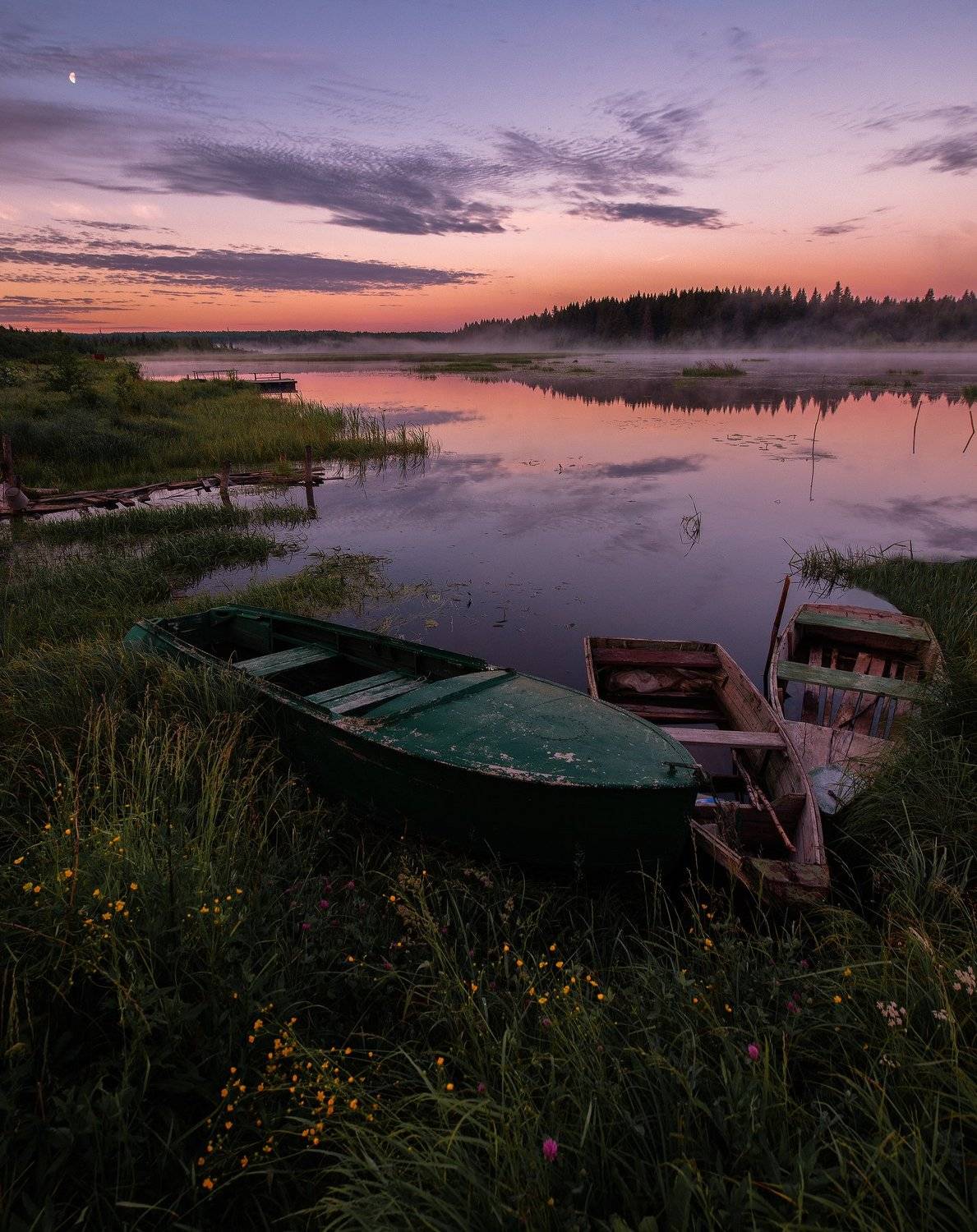 рассвет,фиолетовый, Карепанов Евгений