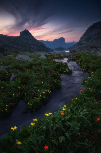 У горного ручья