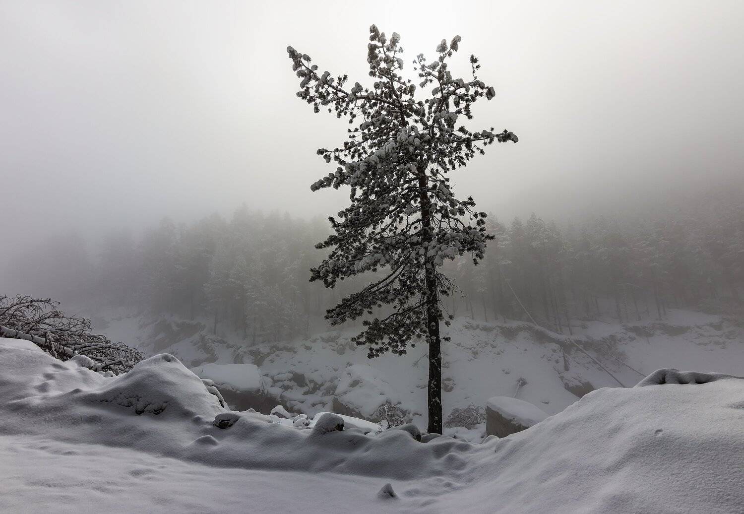 горы, эльбрус,кавказ,туман,  Эстелла
