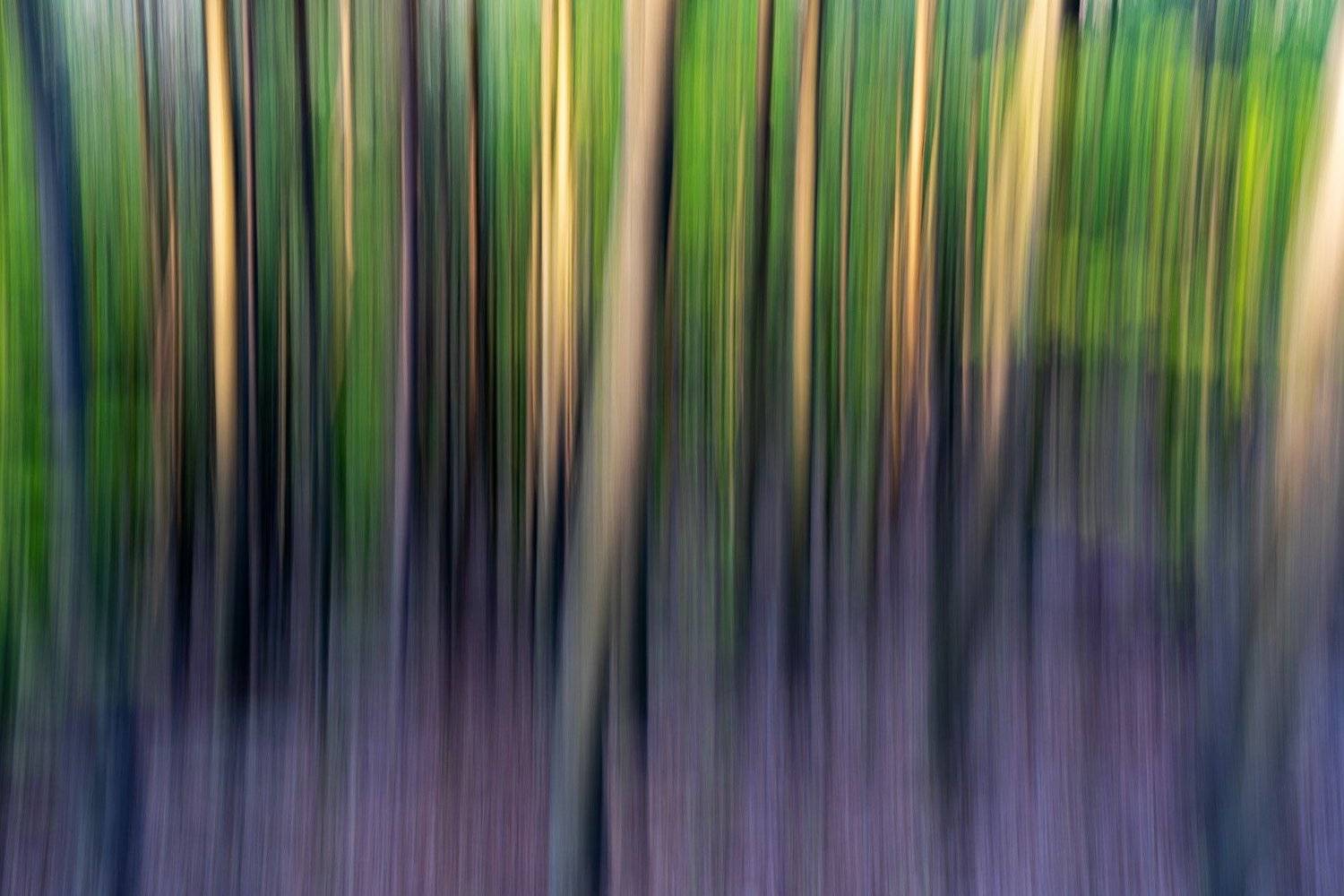 #nature, #abstract, #icm, #forest, #sony, #beauty, #spring, #colors, Gheorghe Popa