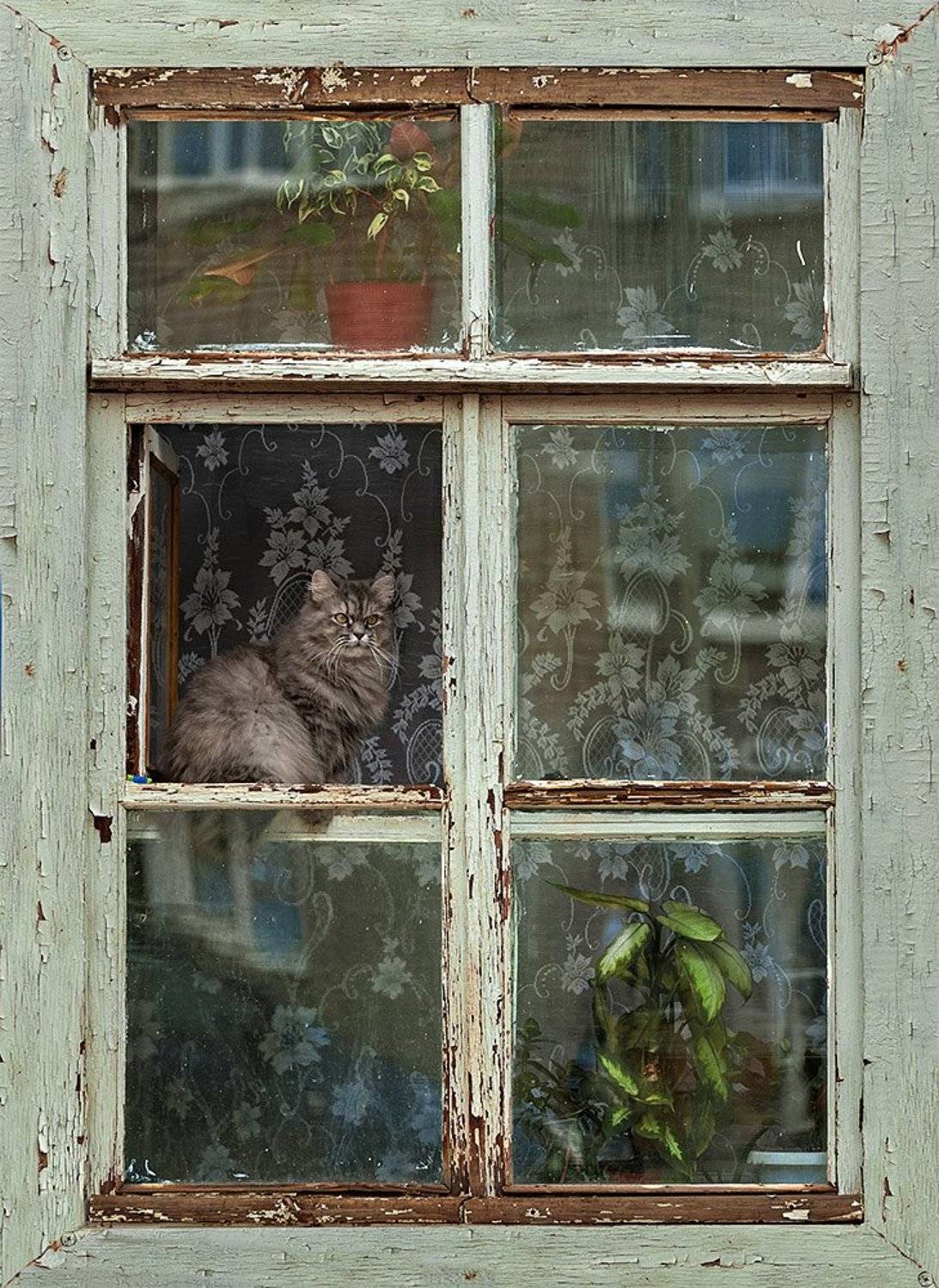 , Александр Поляков