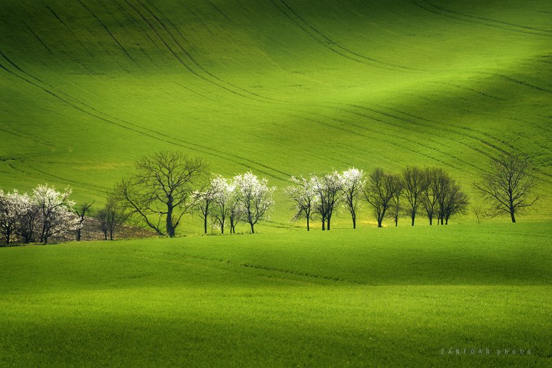моравская тоскана,moravian tuscany,zanfoar,czechia,чехия,nikon d750 Моравская Тоскана фото превью