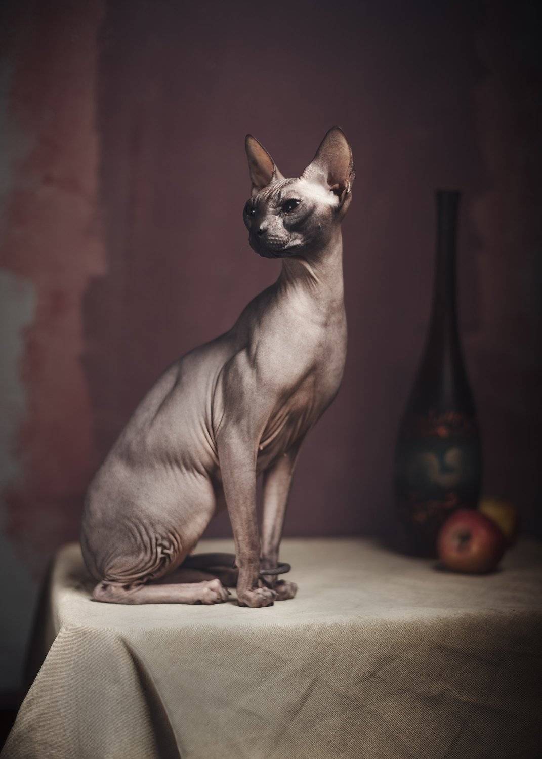 , Игорь Крюков