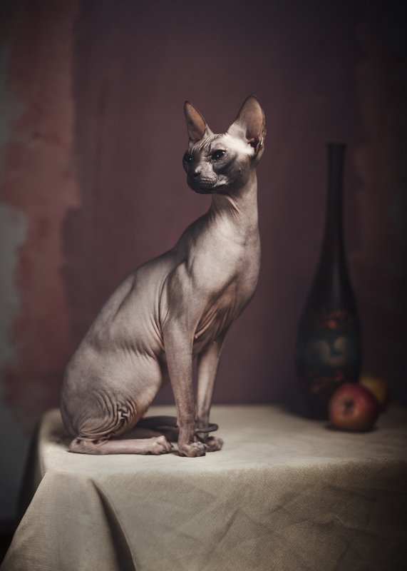 Натюрморт с Сфинксом и яблоком фото превью