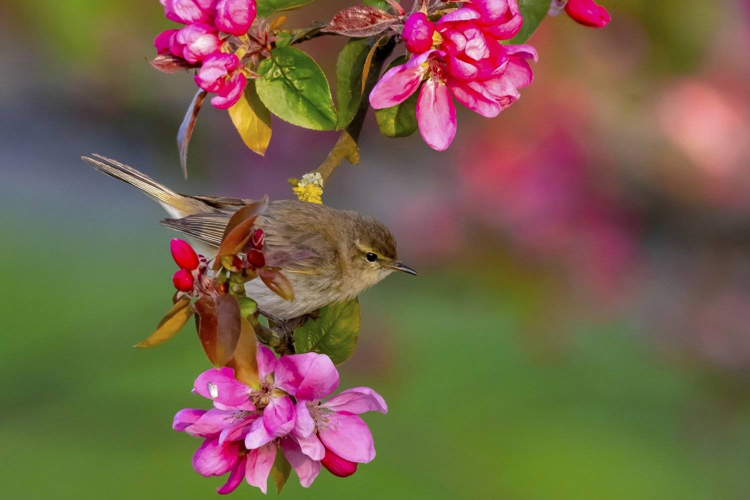 , Krzysztof Kozlowski