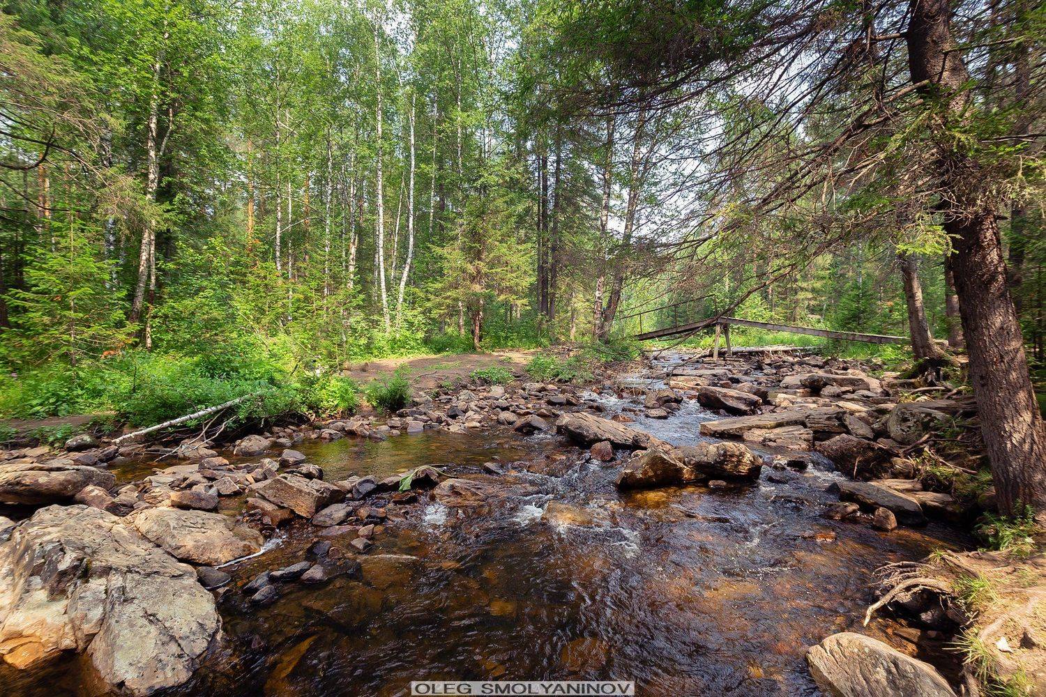 , Олег Смолянинов