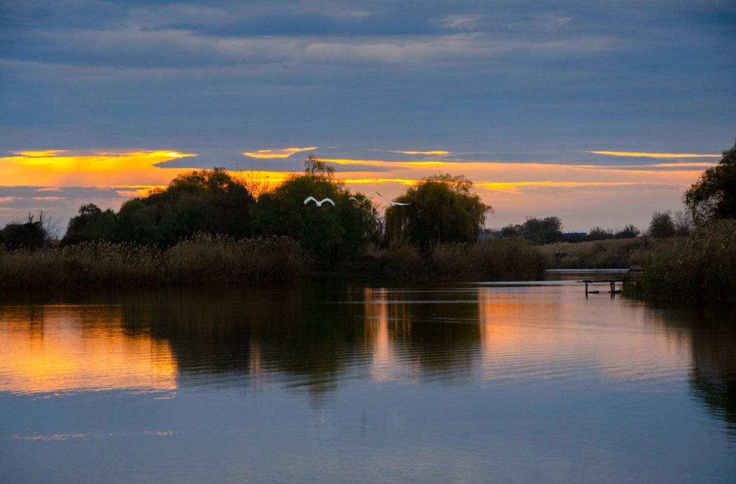 , Алексей Рыльский