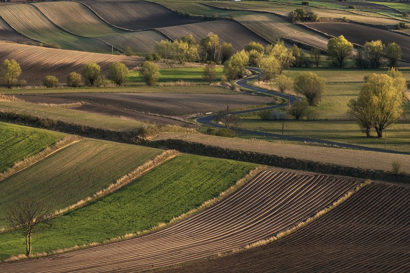 Ponidzie fields ... фото превью