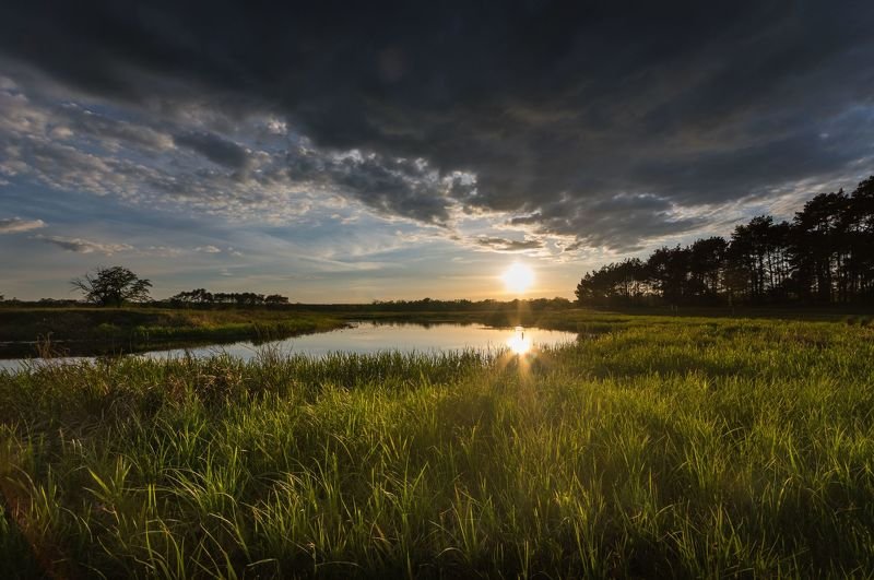 Meadows sunset фото превью