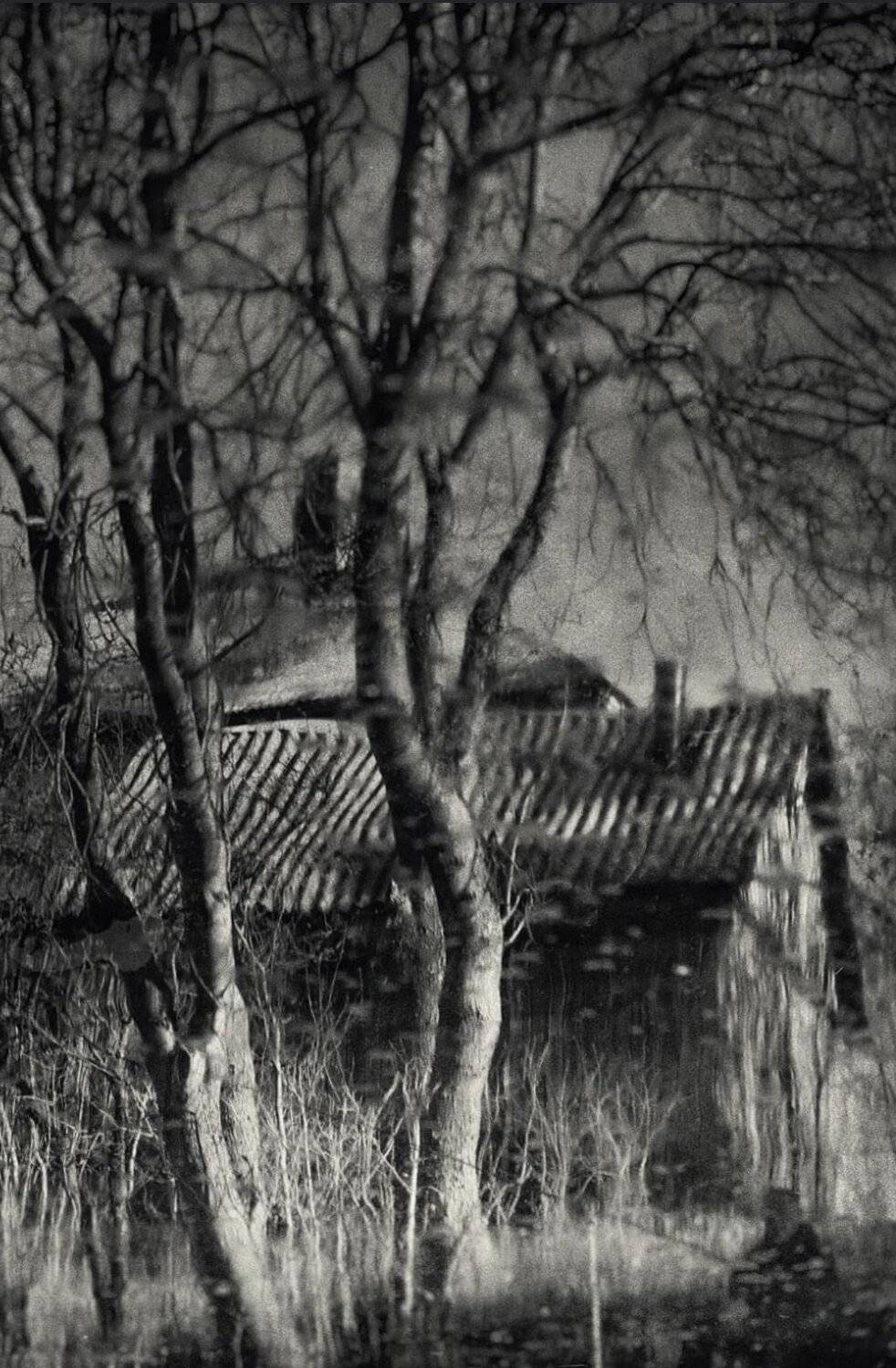 , Artur Politov