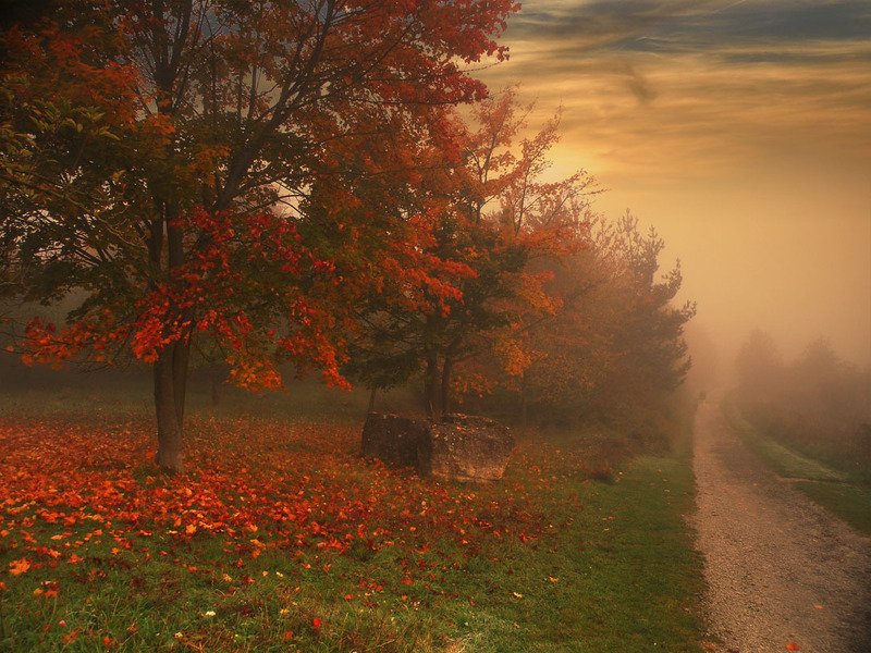листопад фото превью