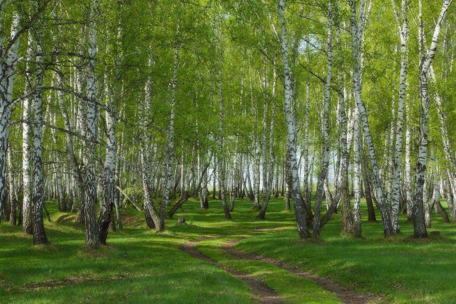 , Евгений Зинов