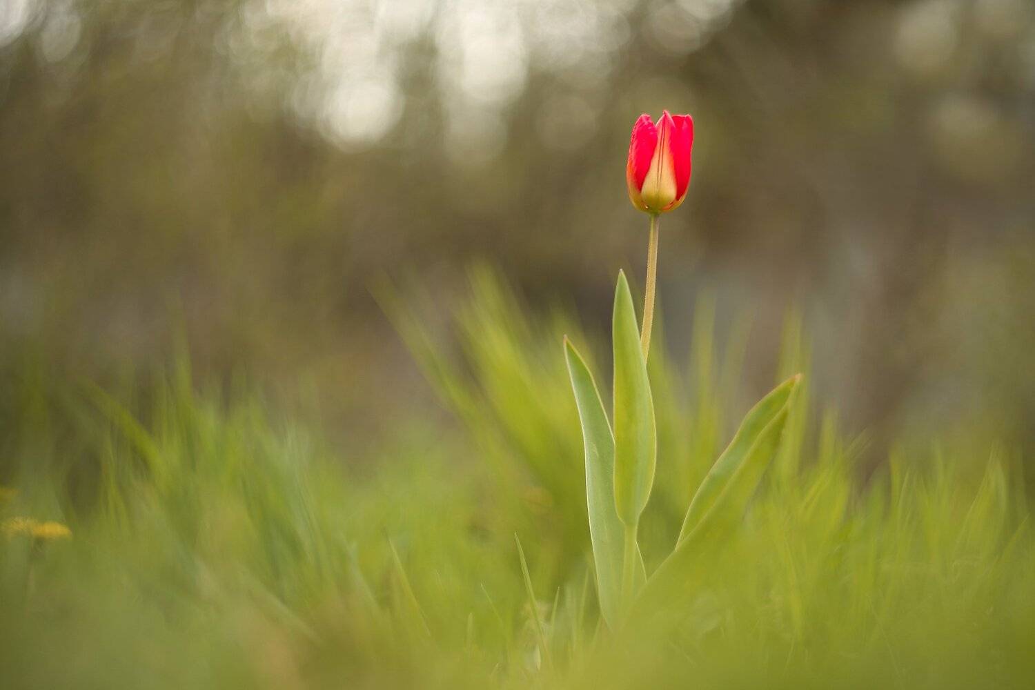 , Эдуард Колобошников