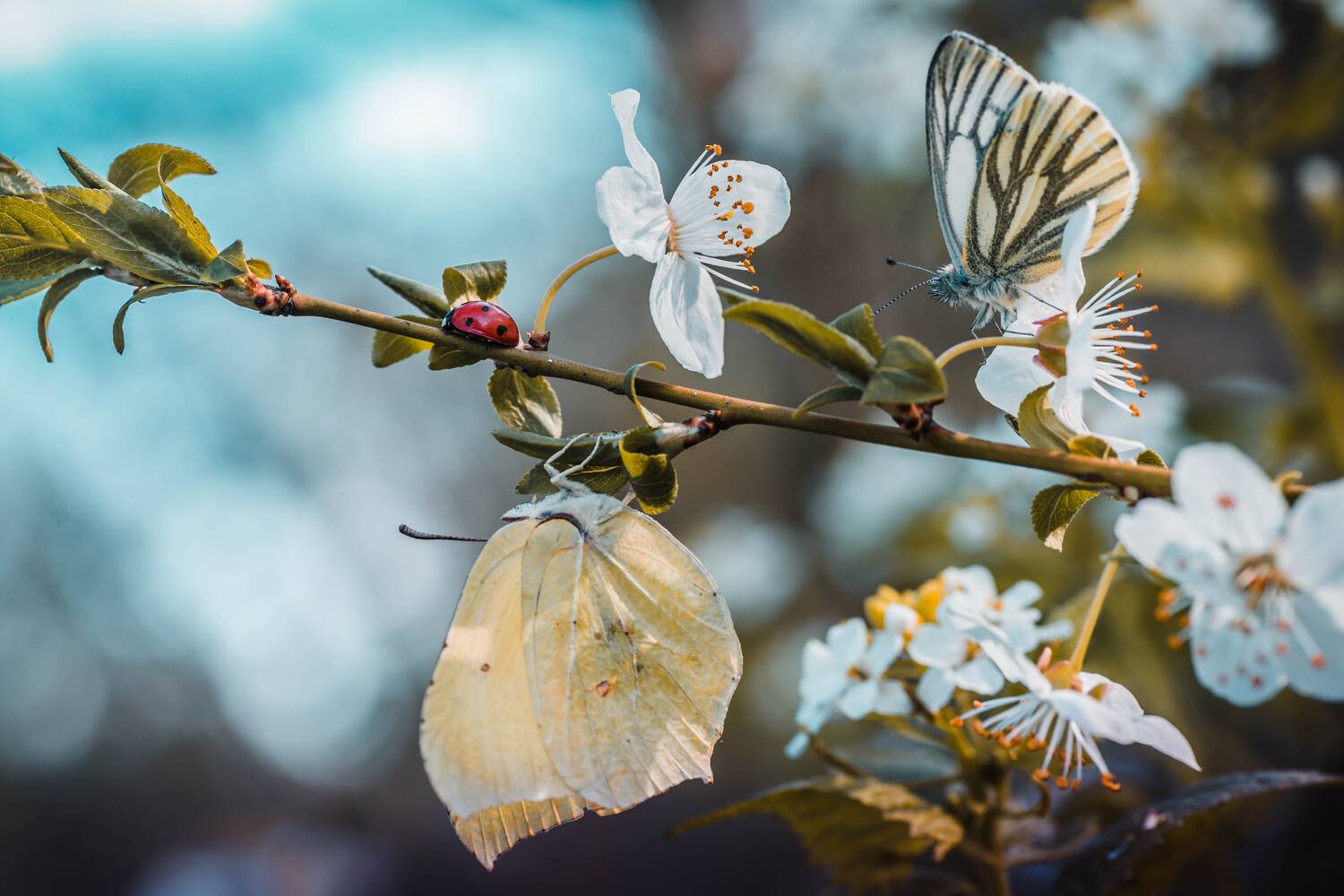 , Роман Зайцев