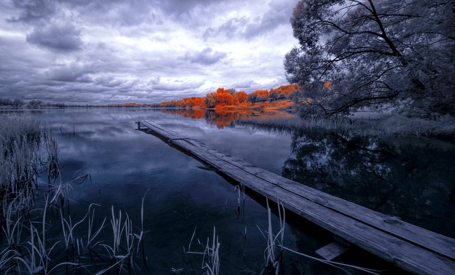 infrared,ик-фото,инфракрасное фото, инфракрасная фотография, пейзаж, осень, Sixten ( Сергей )