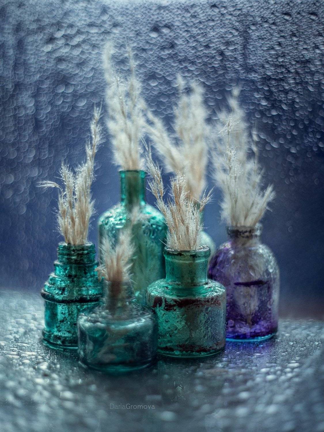 , Дарья Громова