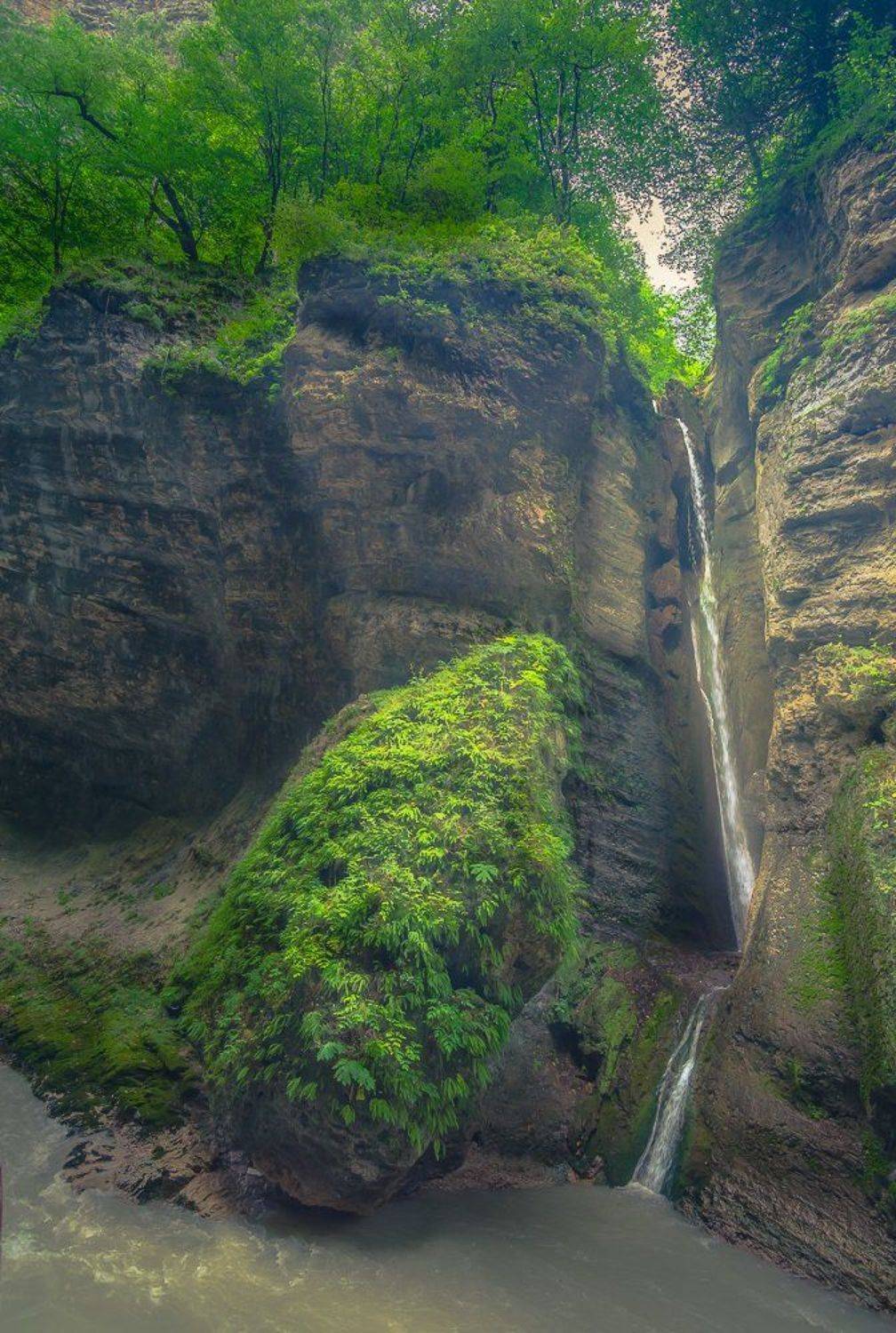 , Светлана Морозова