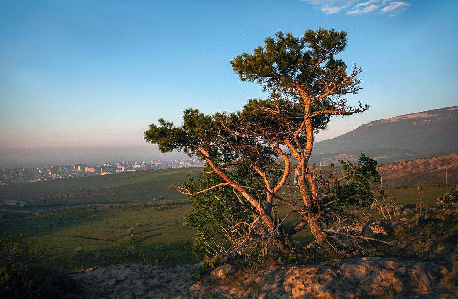 город,махачкала,горы,вершины,пейзаж,небо,деревья,дагестан,природа, Marat Magov