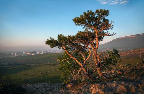 Вечерний пейзаж..