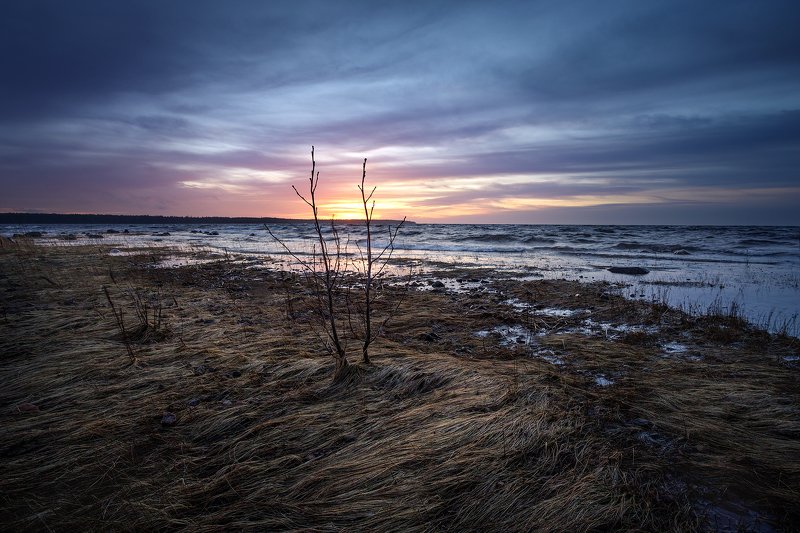 Финский залив. фото превью