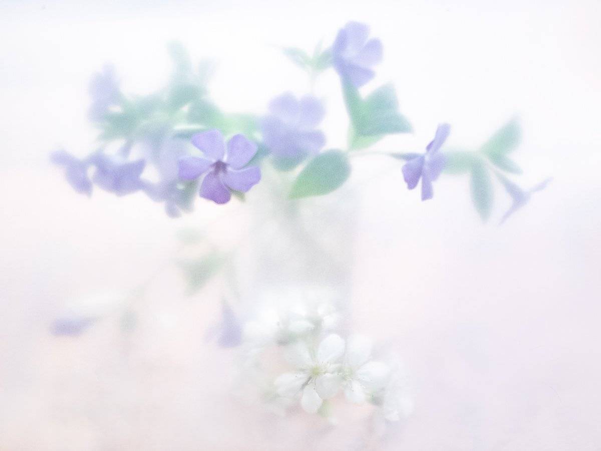 , Татьяна Аверина