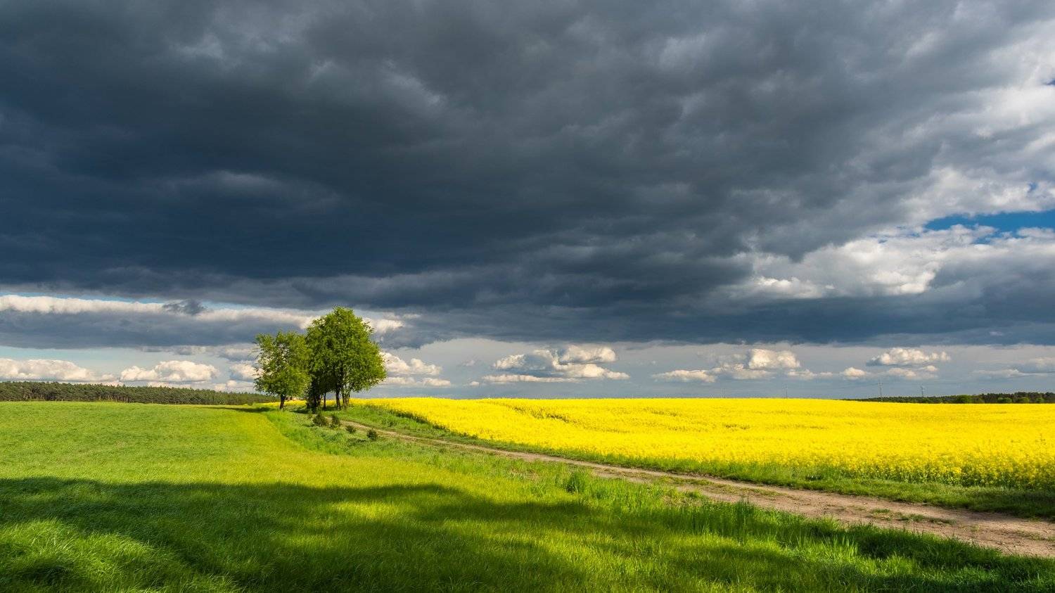 , Maciej Werbliński