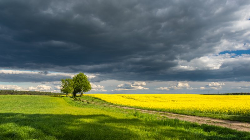 Wider view фото превью