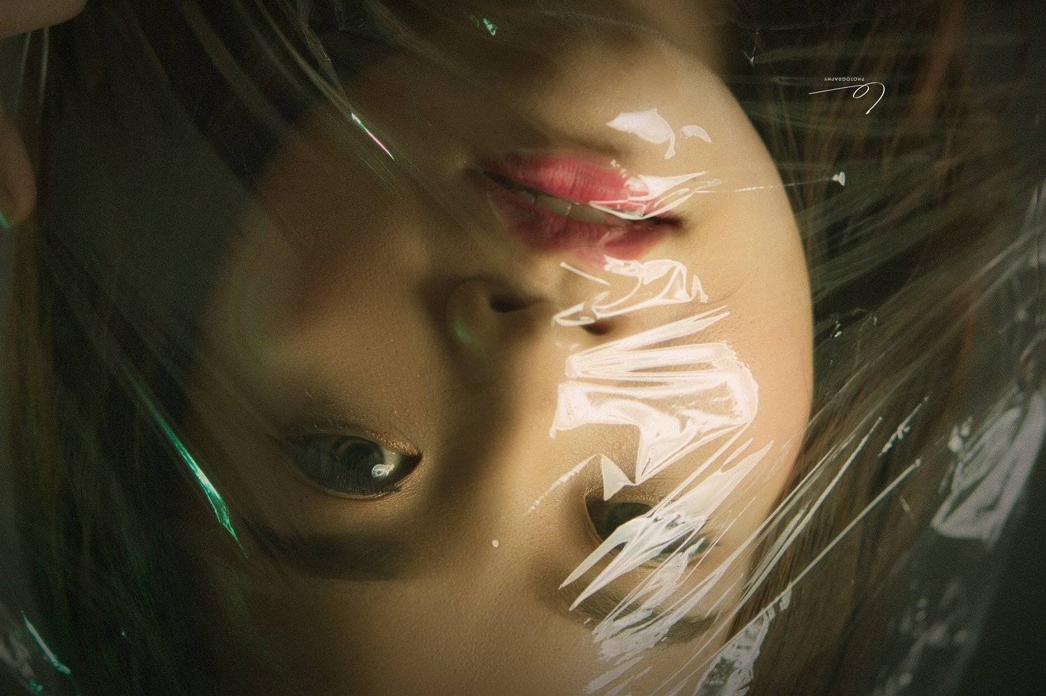 , L&ecirc; Nguyễn Vũ