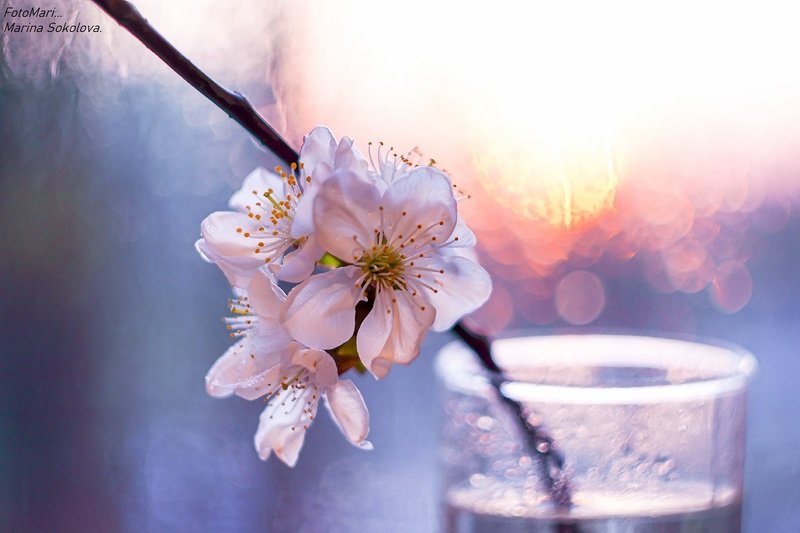 Весеннее настроение... фото превью