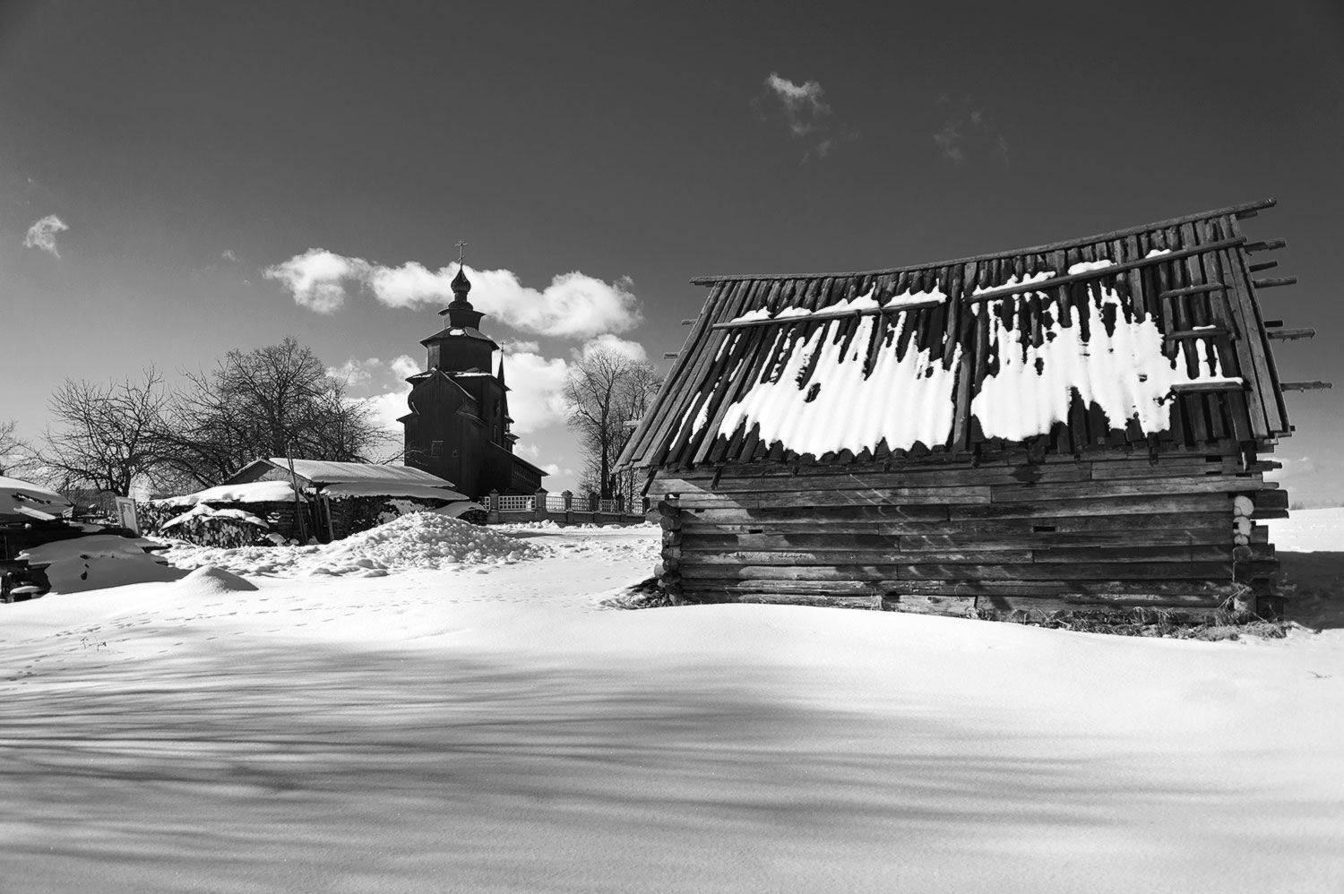 , Дарья Васильева