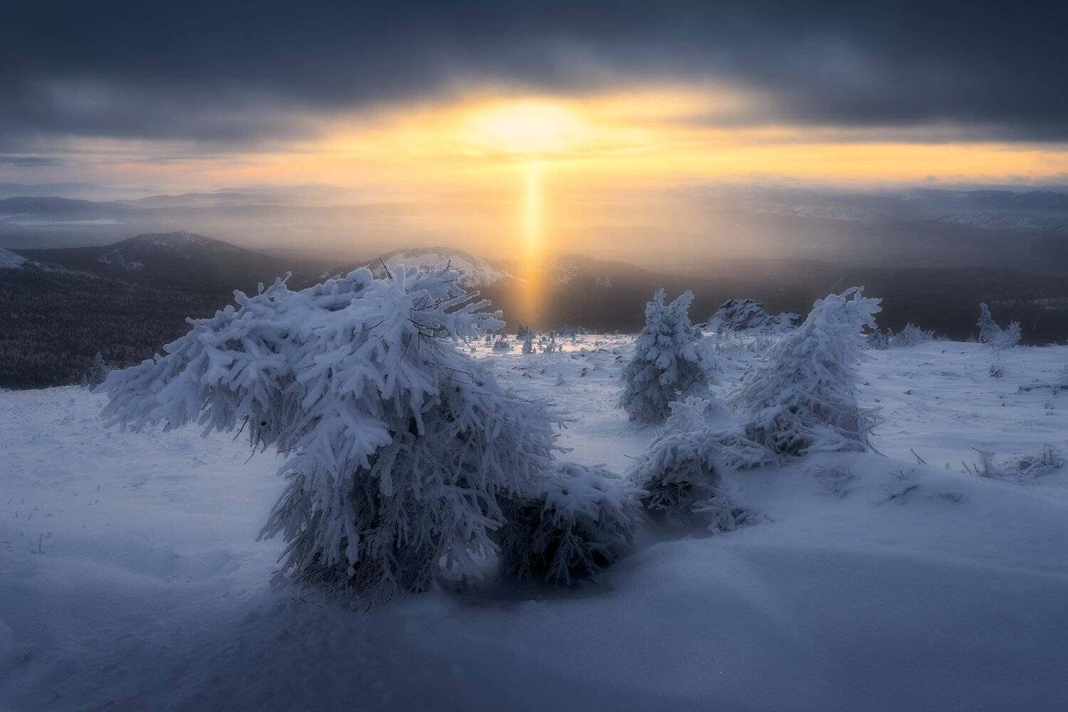 , Михаил Туркеев