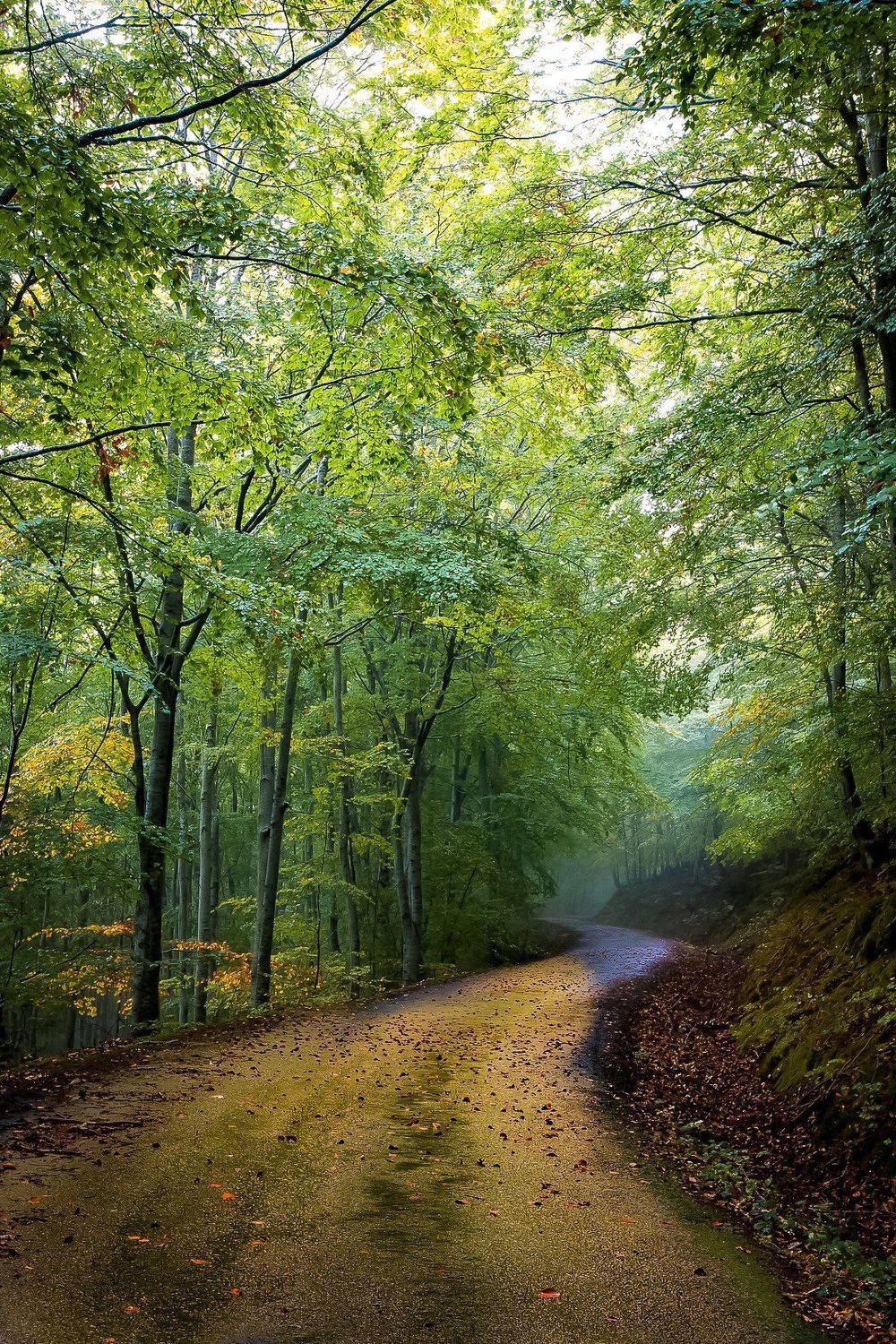 , Antonio Cantabrana